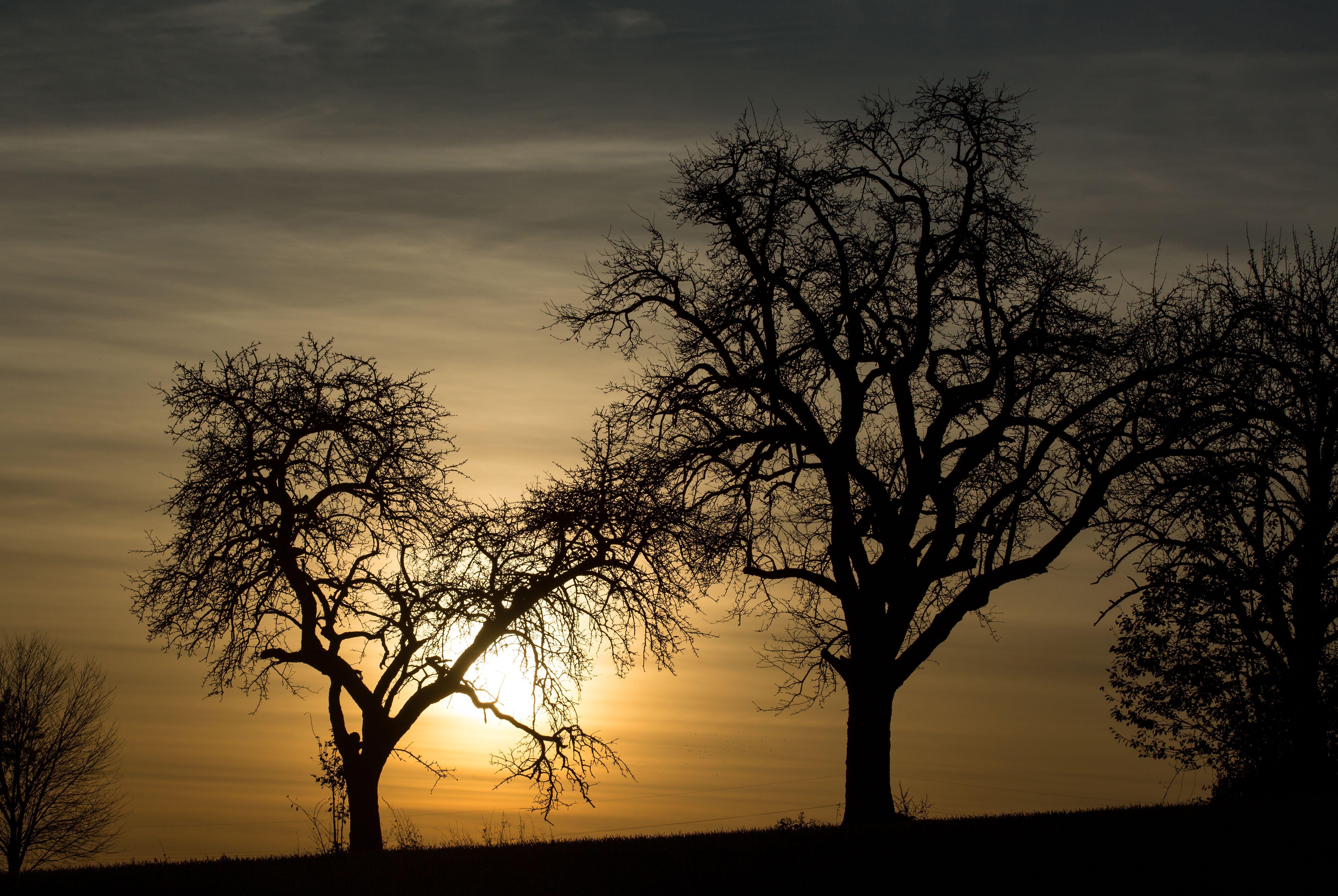 5301x3553 Desktop Wallpaper Silhouette Nature Sunrises and sunsets 5301x3553