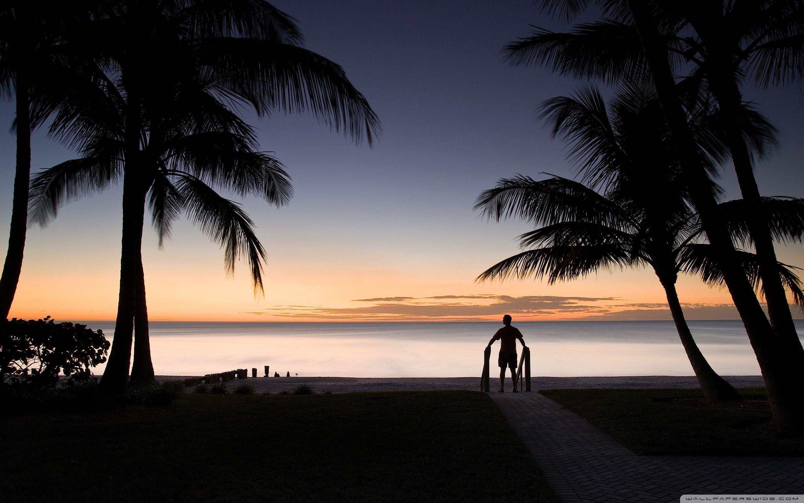 2560x1600 Tropical Beach Silhouette Ultra HD Desktop Background Wallpaper for 4K UHD TV : Tablet