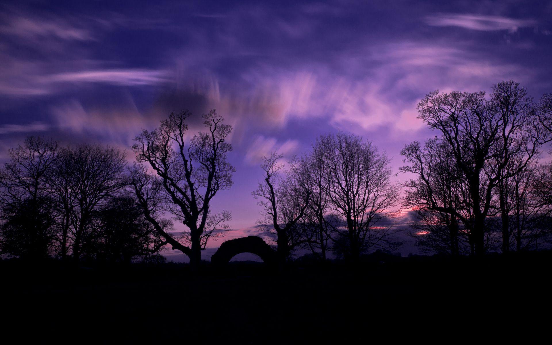 1920x1200 night tree wallpaper silhouette Desktop Wallpaperk HD