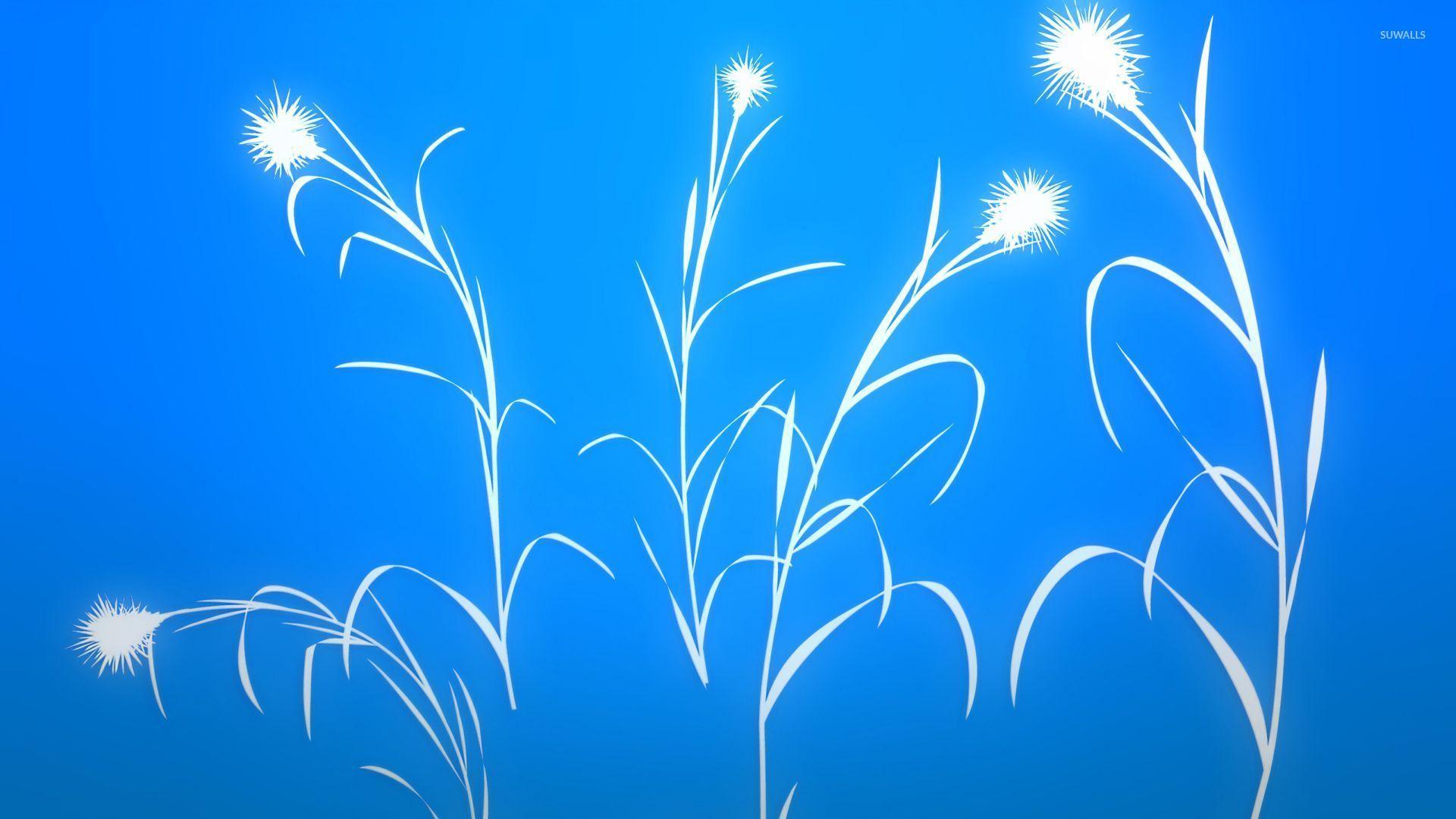 1920x1080 White grass silhouette wallpaper Art wallpaper