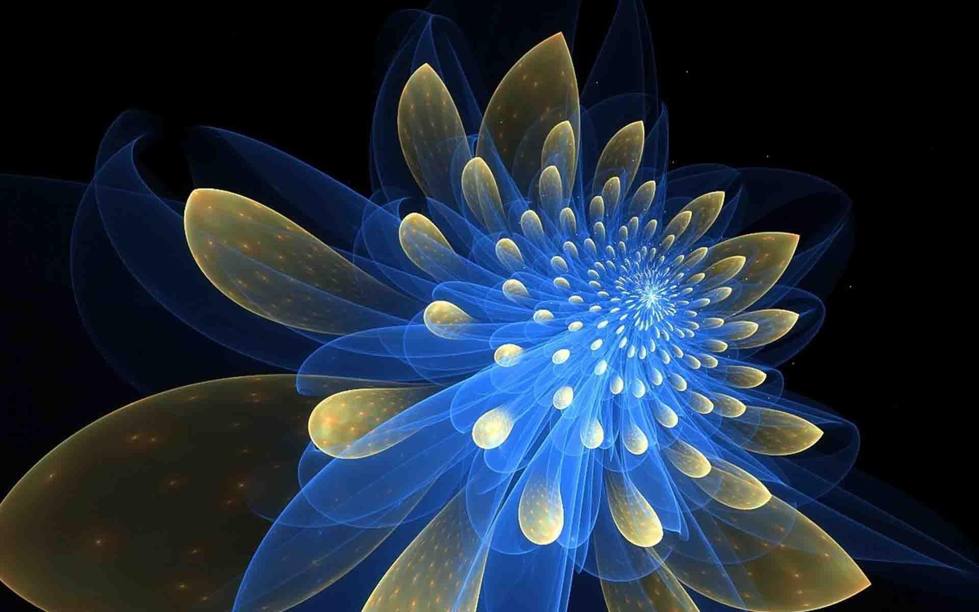 Artistic Flower Wallpapers Top Free Artistic Flower Backgrounds