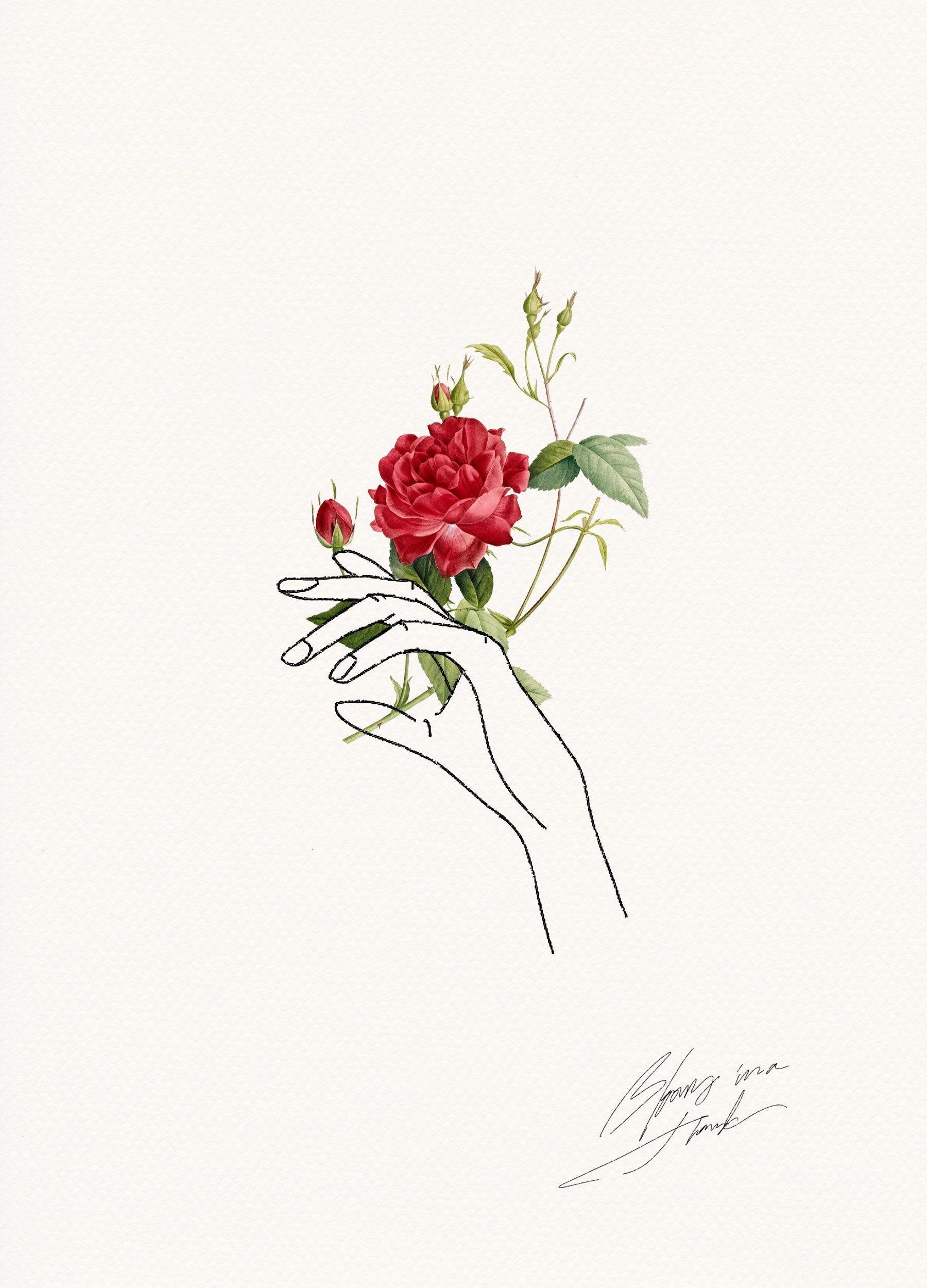 1800x2500 Flower Wallpaper Line Art