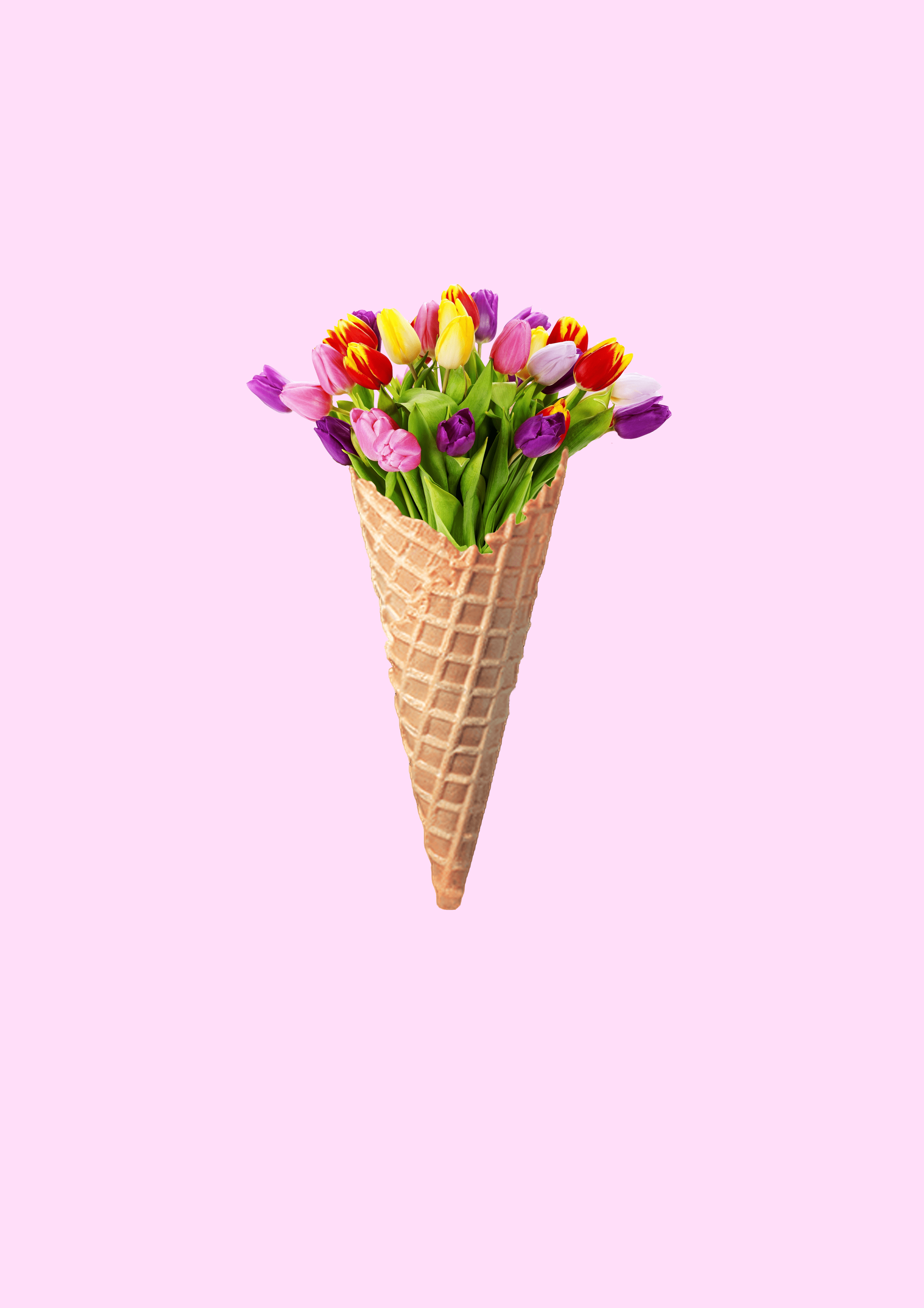 2480x3508 My version of the other flower icecream. Made in Photohop. Flower art, Flower cones, Flower wallpaper