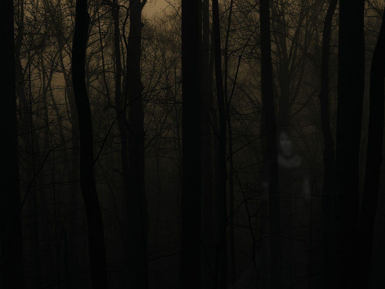 1600x1200 Free download Haunted Forest wallpaper Haunted Forest [1600x1200] for your Desktop, Mobile & Tablet. Explore Creepy Forest Wallpaper. Spooky Forest Wallpaper, Dark Forest HD Wallpaper, Creepy Wallpaper HD