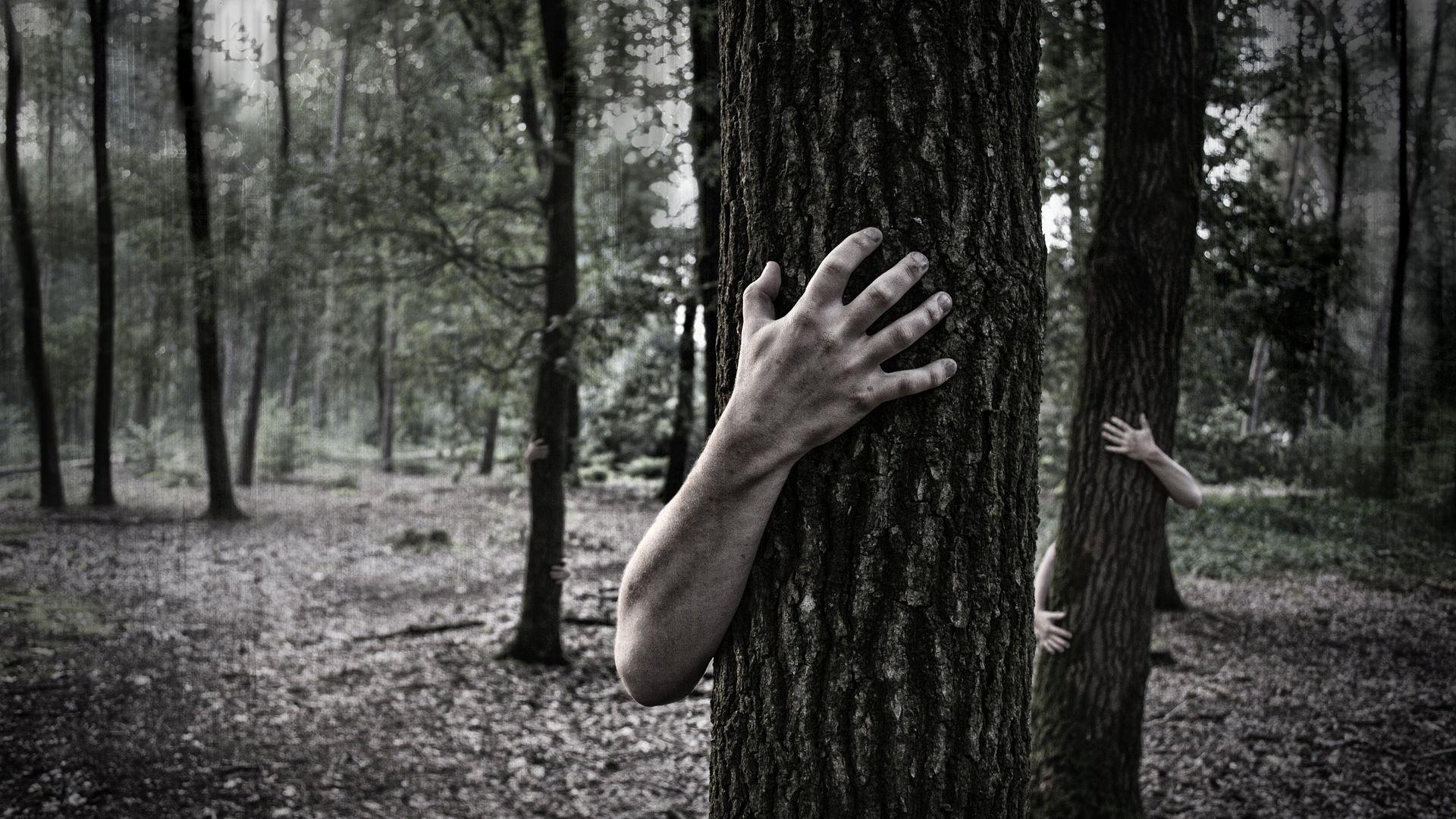 1920x1080 Forest Scary View Wallpaper