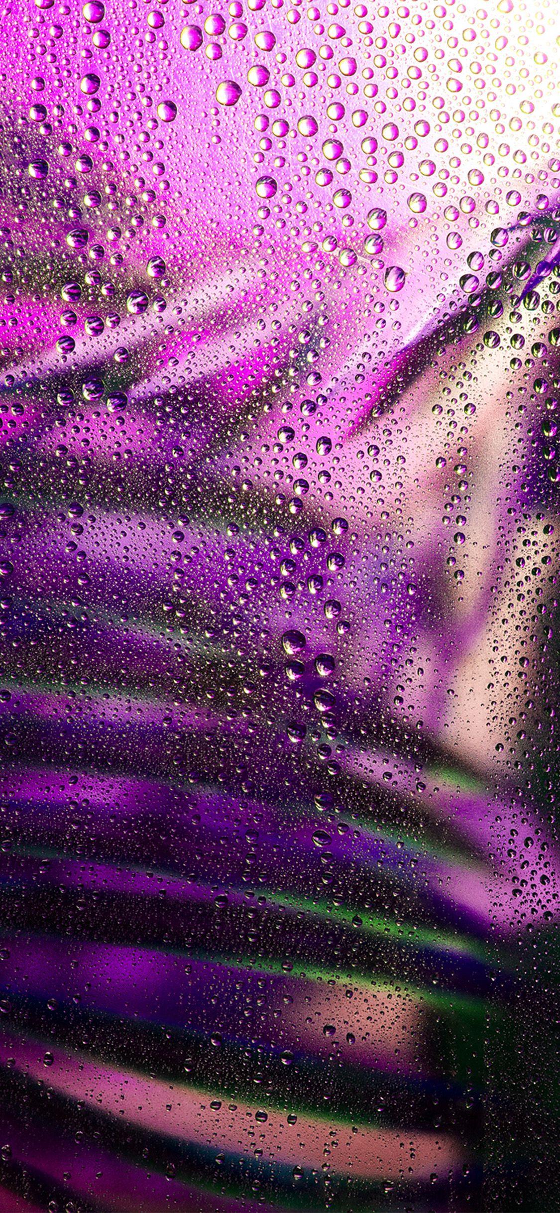 1125x2436 iPhone X wallpaper. raindrop exotic plant art illustration purple