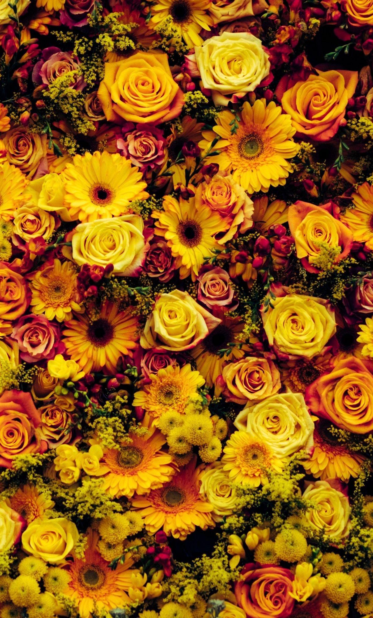 1280x2120 Download 1280x2120 wallpaper exotic, adorable decoration, flowers, iphone 6 plus, 1280x2120 HD image, background, 10468
