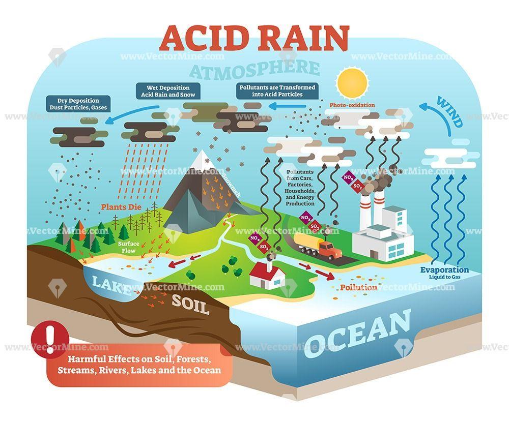 1000x828 Life sciences illustrated