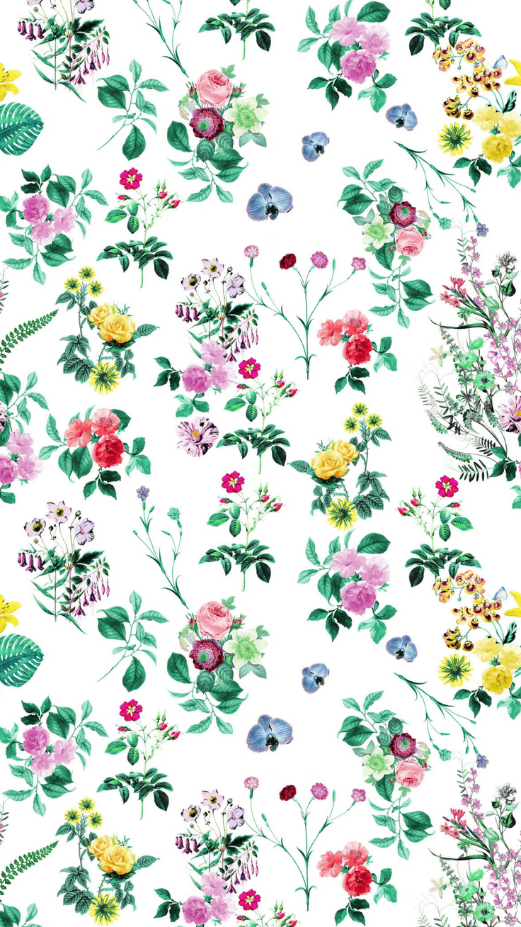 736x1308 Pretty Floral iPhone 8 & 8 Plus HD Wallpaper