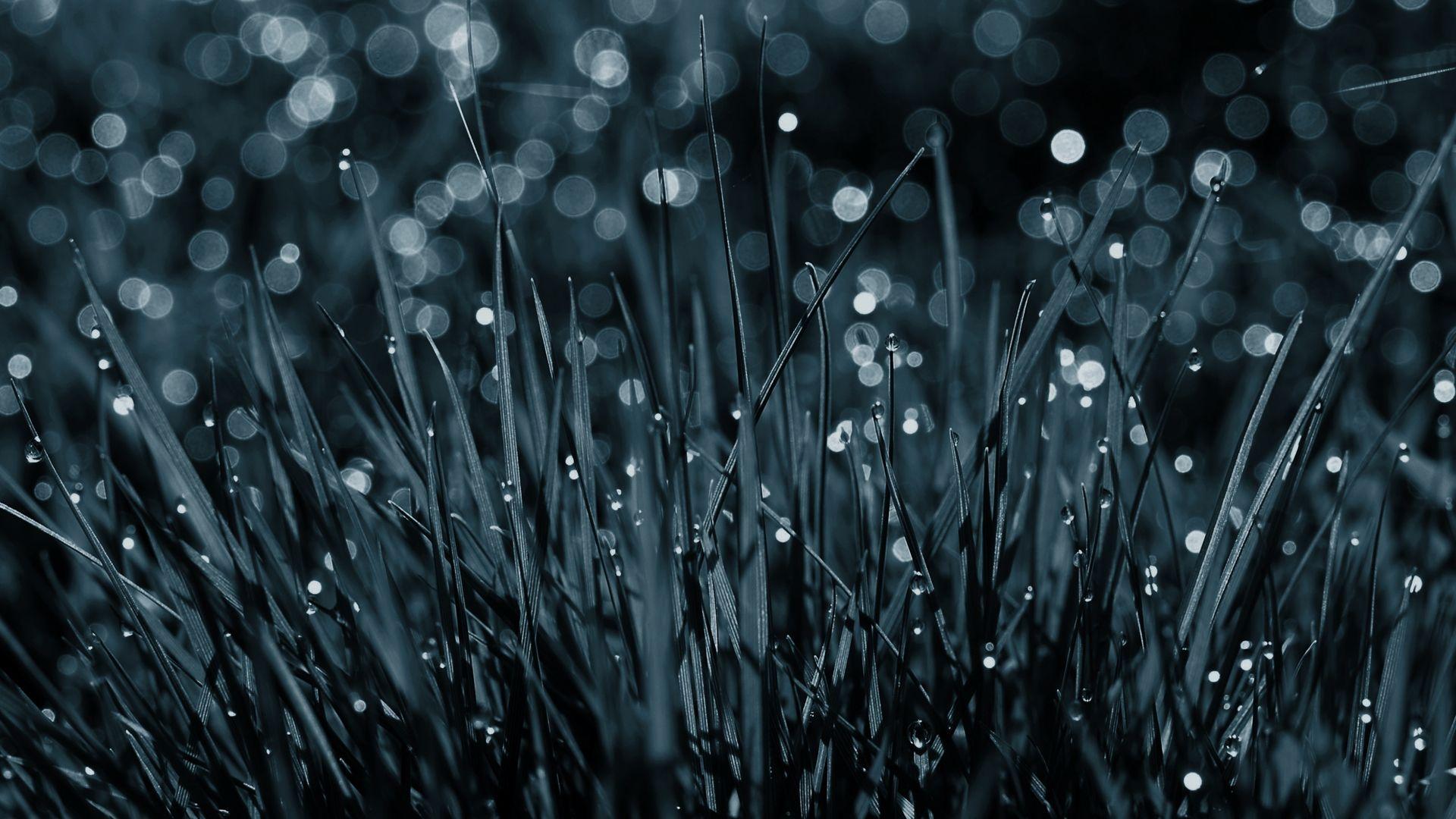 1920x1080 Awesome Acid Rain HD Wallpaper Free Download