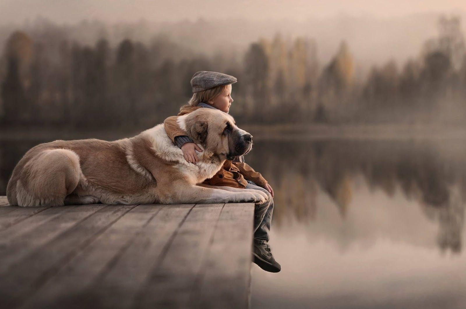 Boy And Dog Wallpapers - Top Free Boy And Dog Backgrounds - WallpaperAccess