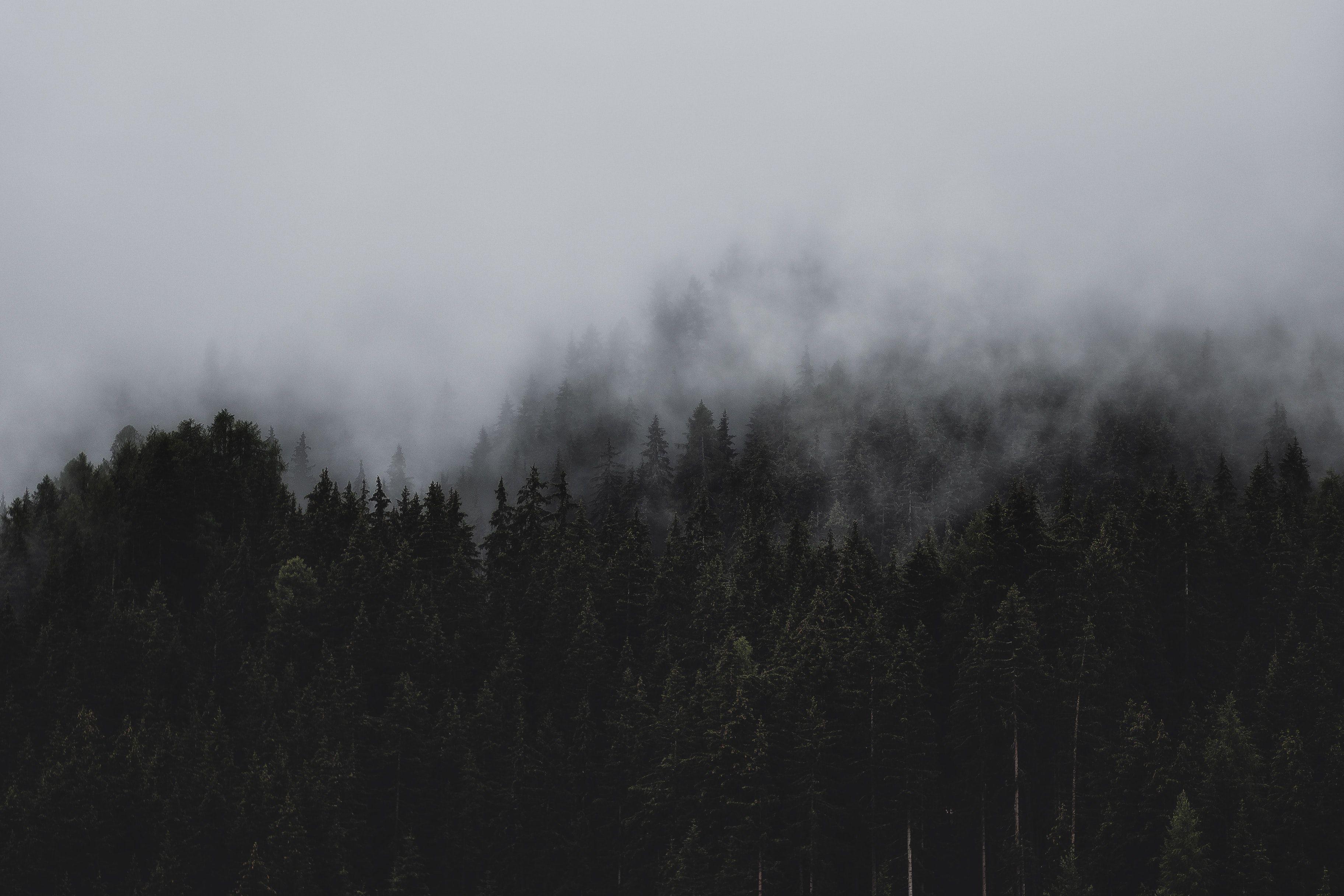 3648x2432 Dark Aesthetic Wallpaper Desktop HD Wallpaper