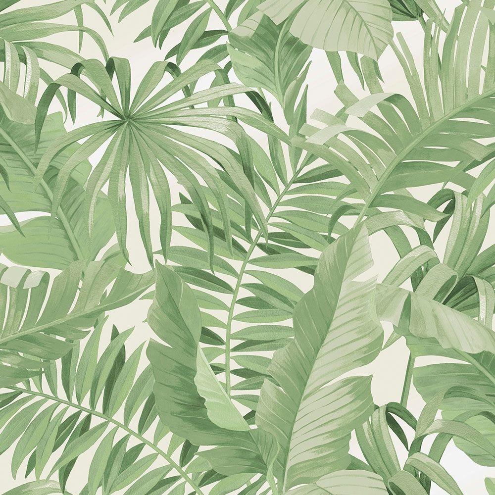 1000x1000 Palma Tropical Wallpaper Green from I Love Wallpaper UK
