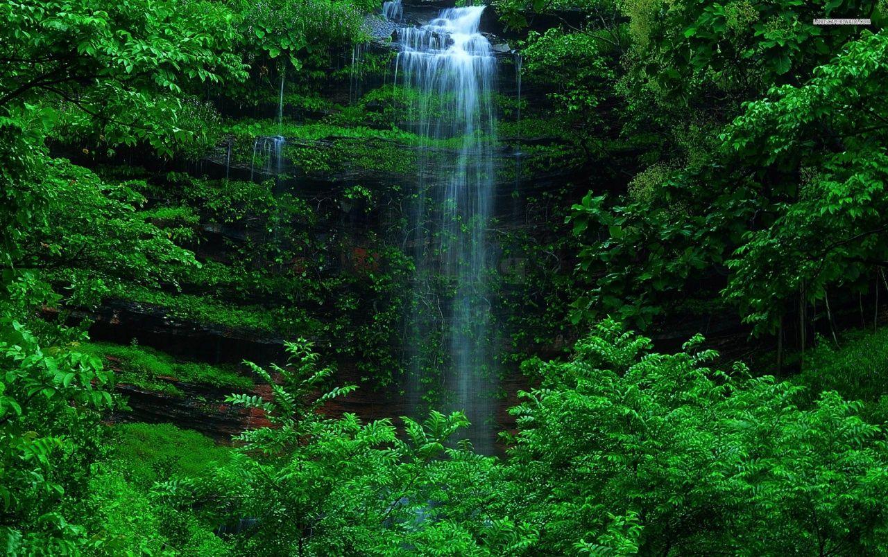 1280x804 Waterfall Grass Green Forest wallpaper. Waterfall Grass Green Forest