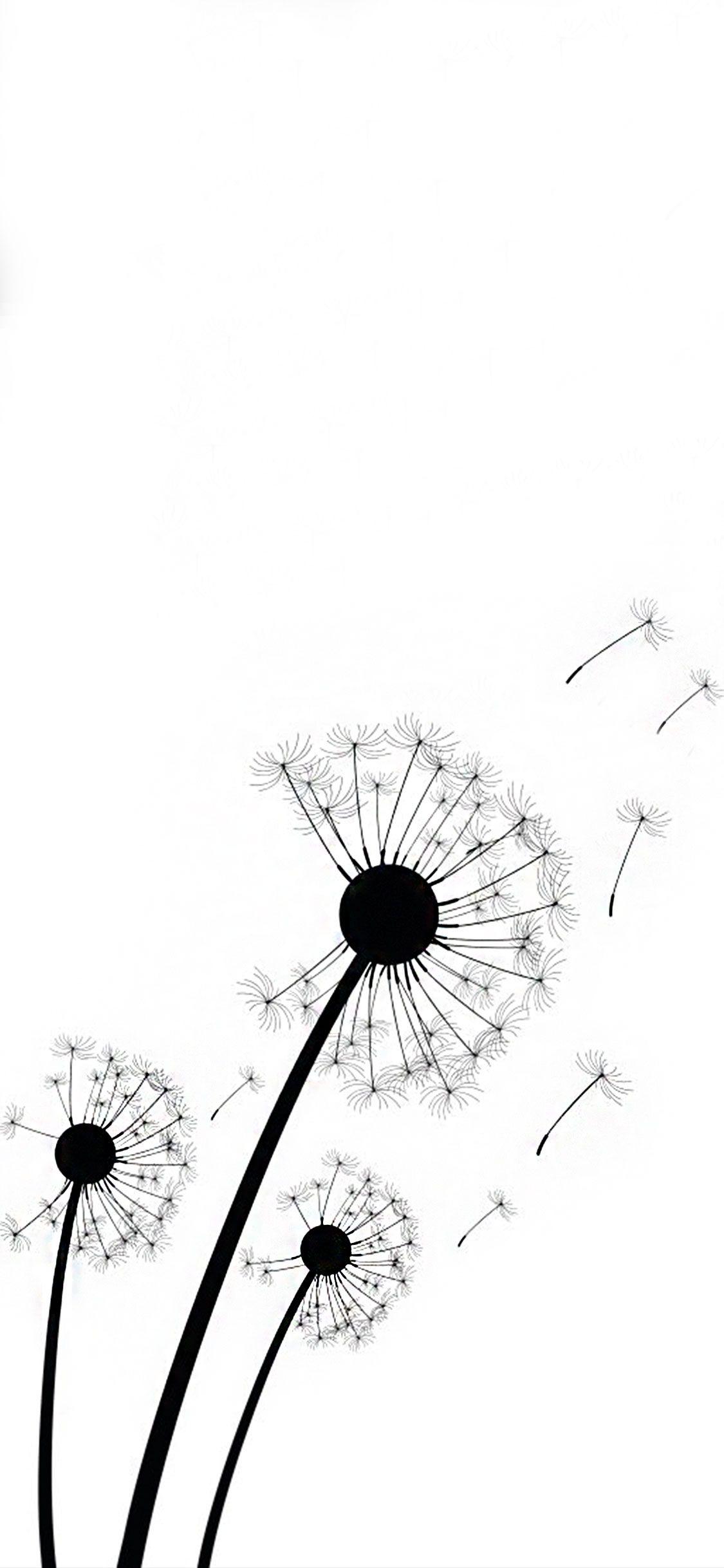 dandelion black and white wallpaper