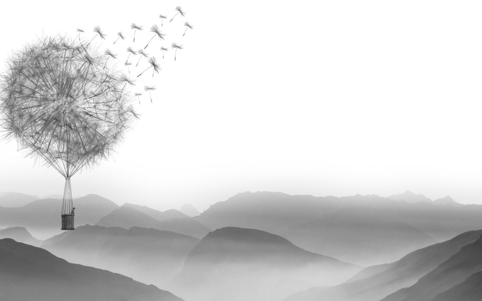 1680x1050 Dandelion Air Balloon 1680x1050 Resolution HD 4k Wallpaper, Image, Background, Photo and Picture