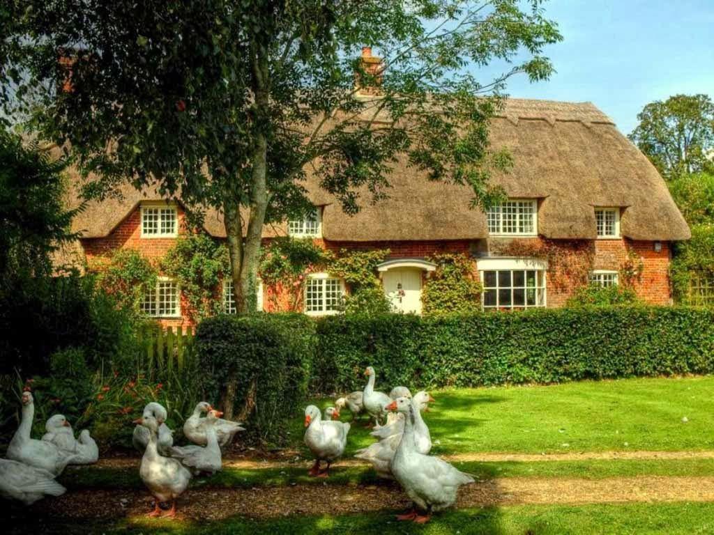 1024x768 Free download English Cottage Wallpaper [1024x768] for your Desktop, Mobile & Tablet. Explore English Cottage Wallpaper. English Cottage Style Wallpaper, English Style Wallpaper, Cottage Style Wallpaper Patterns