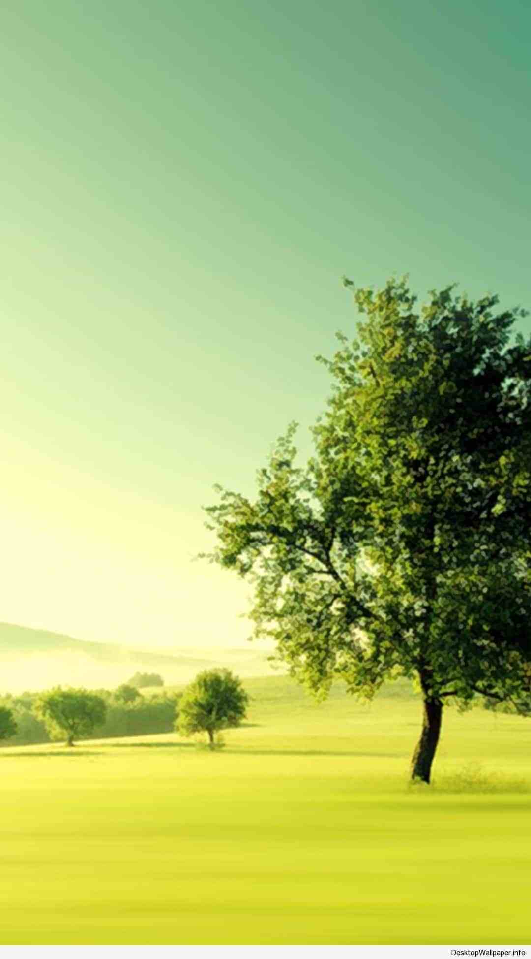 1080x1948 Scenery Android Phone Wallpaper