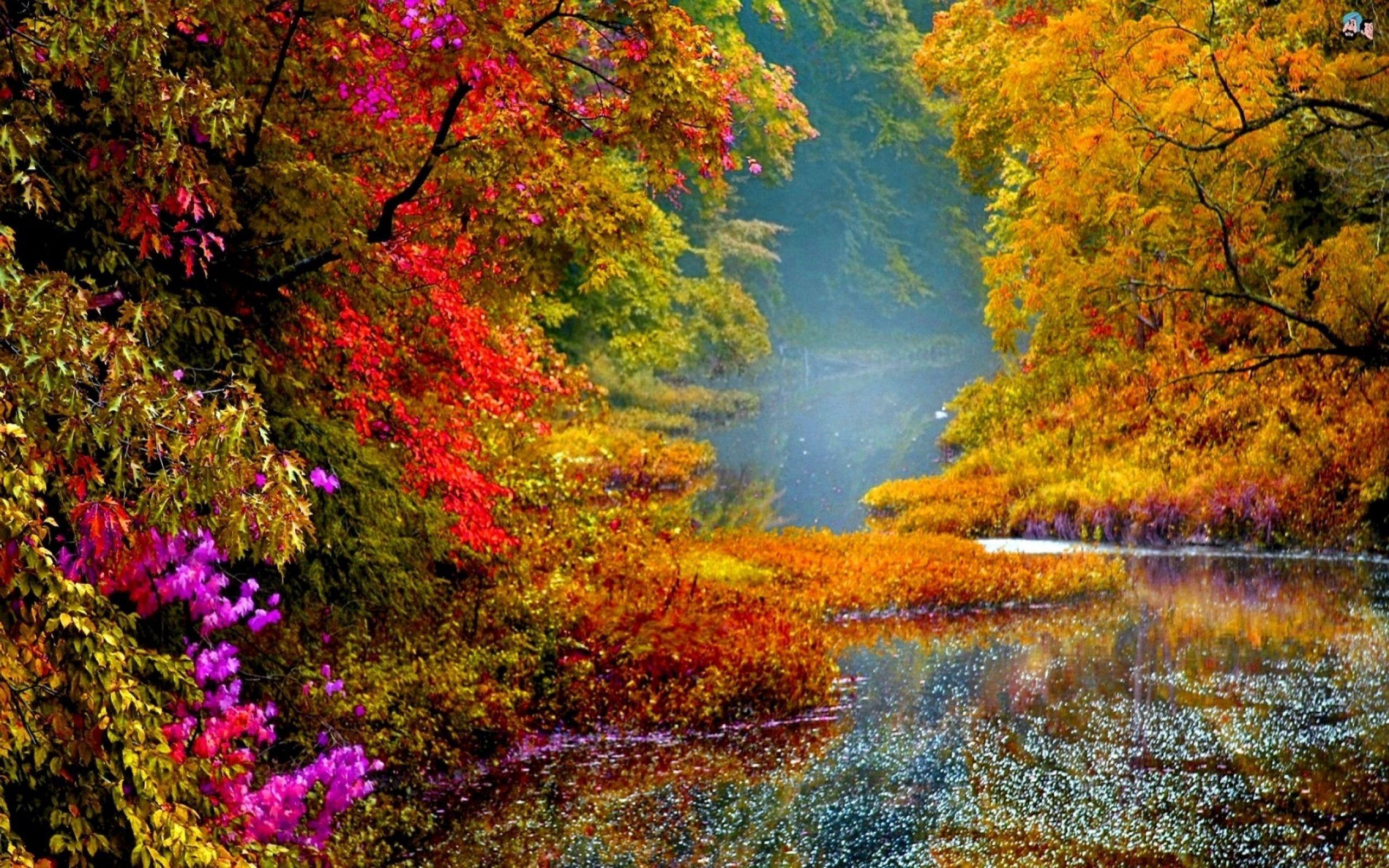 Colorful Scenery Wallpapers - Top Free Colorful Scenery Backgrounds ...