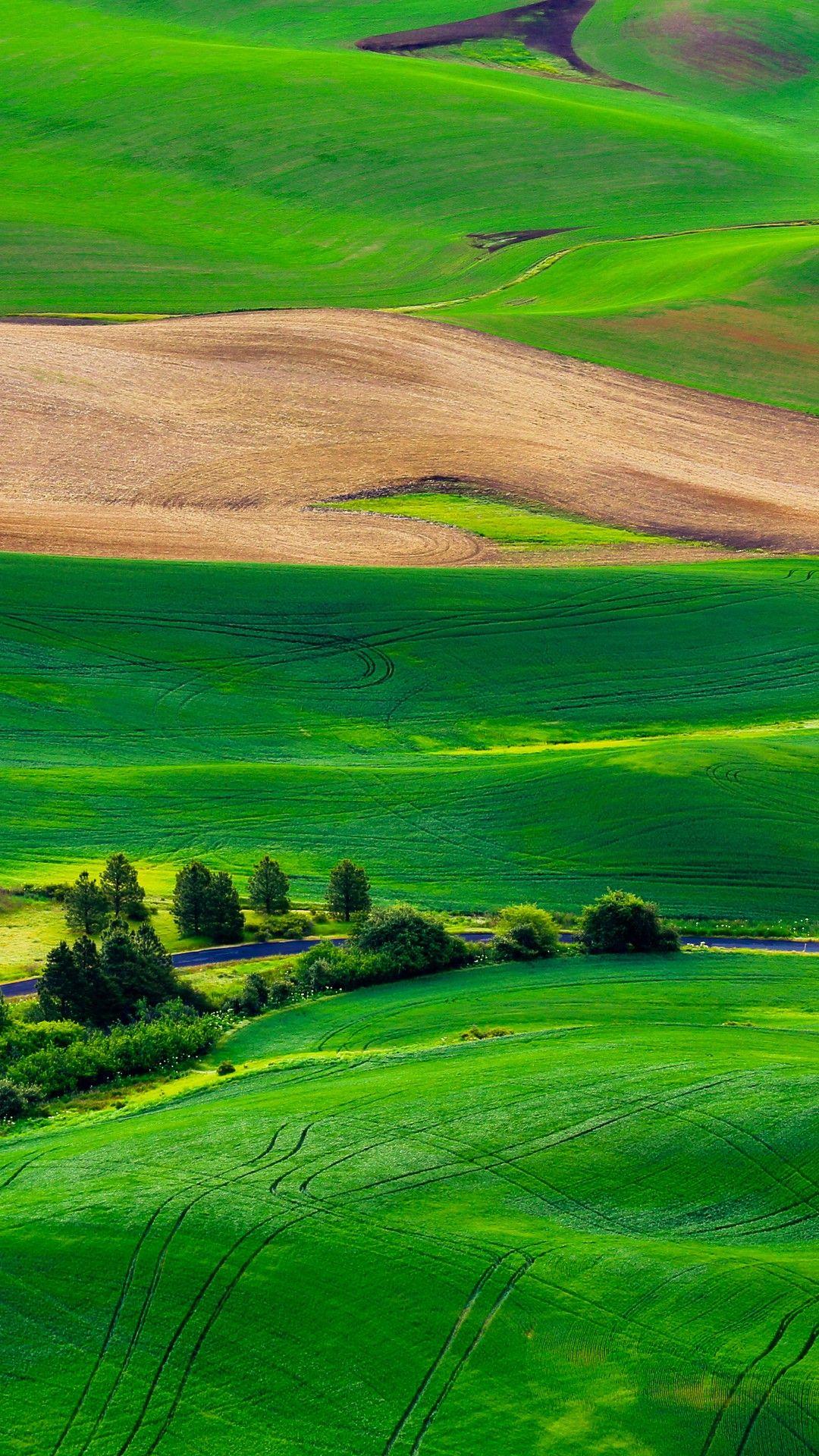 1080x1920 Wallpaper Green landscape, HD, Nature,. Wallpaper for iPhone, Android, Mobile and Desktop