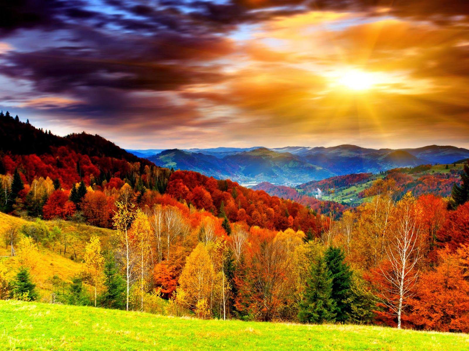 Colorful Scenery Wallpapers - Top Free Colorful Scenery Backgrounds ...