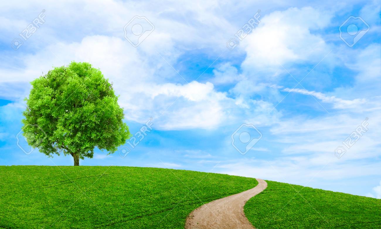 1300x780 Blue Green Summer Wallpaper