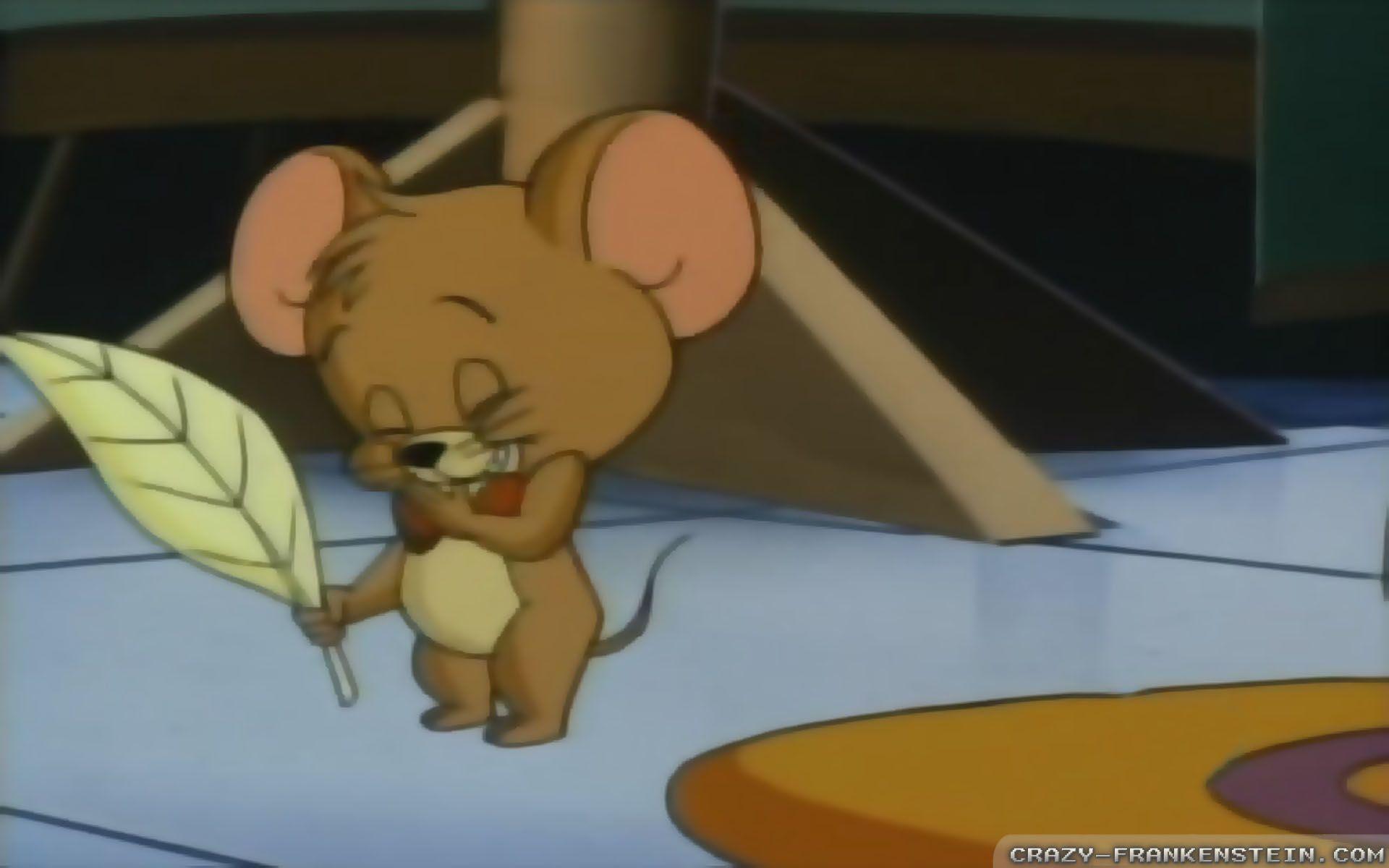 1920x1200 Tom & Jerry kids Show wallpaper