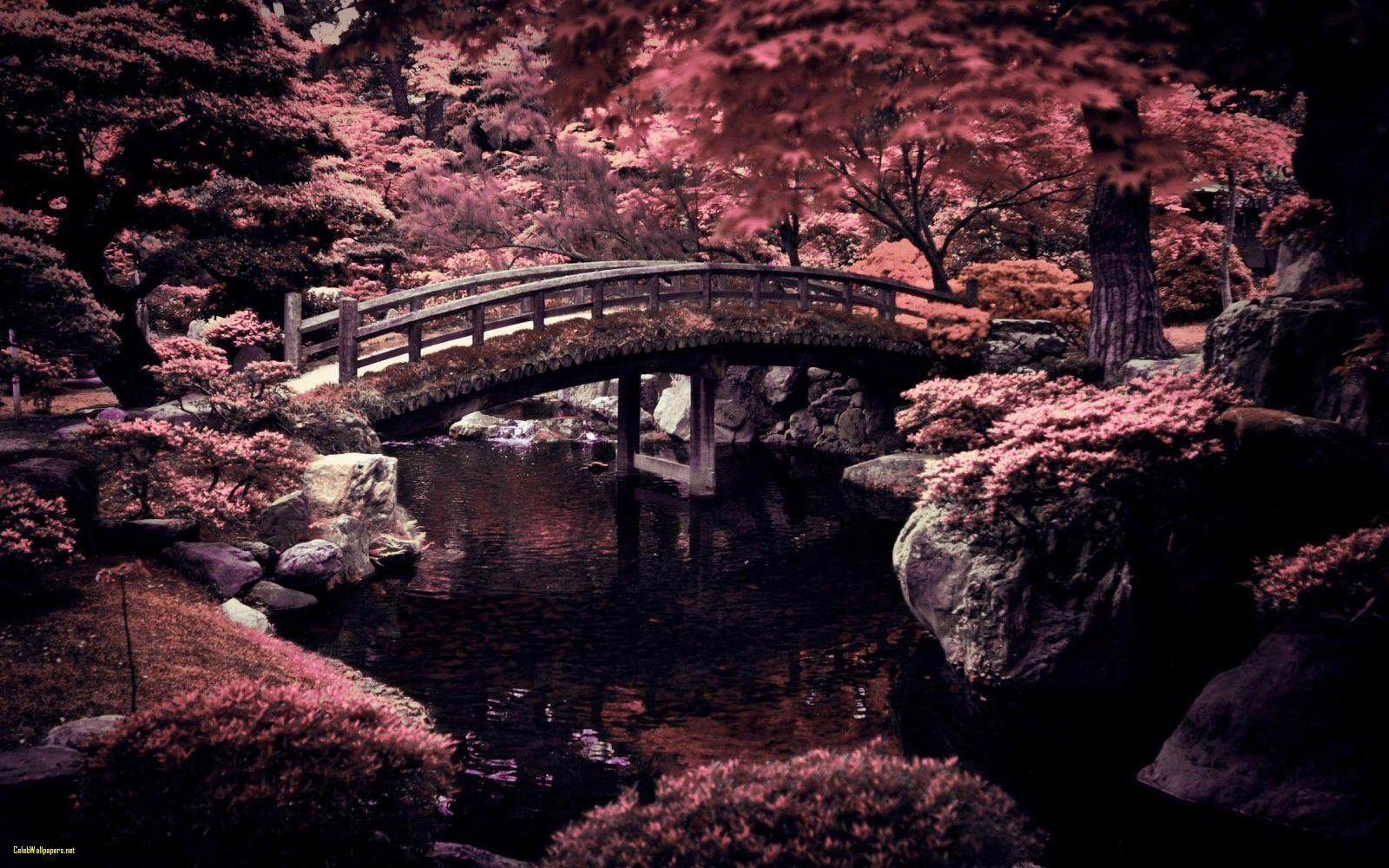 1600x1000 Japan Wallpaper X HD Wallpaper Best Of Japan Wallpaper