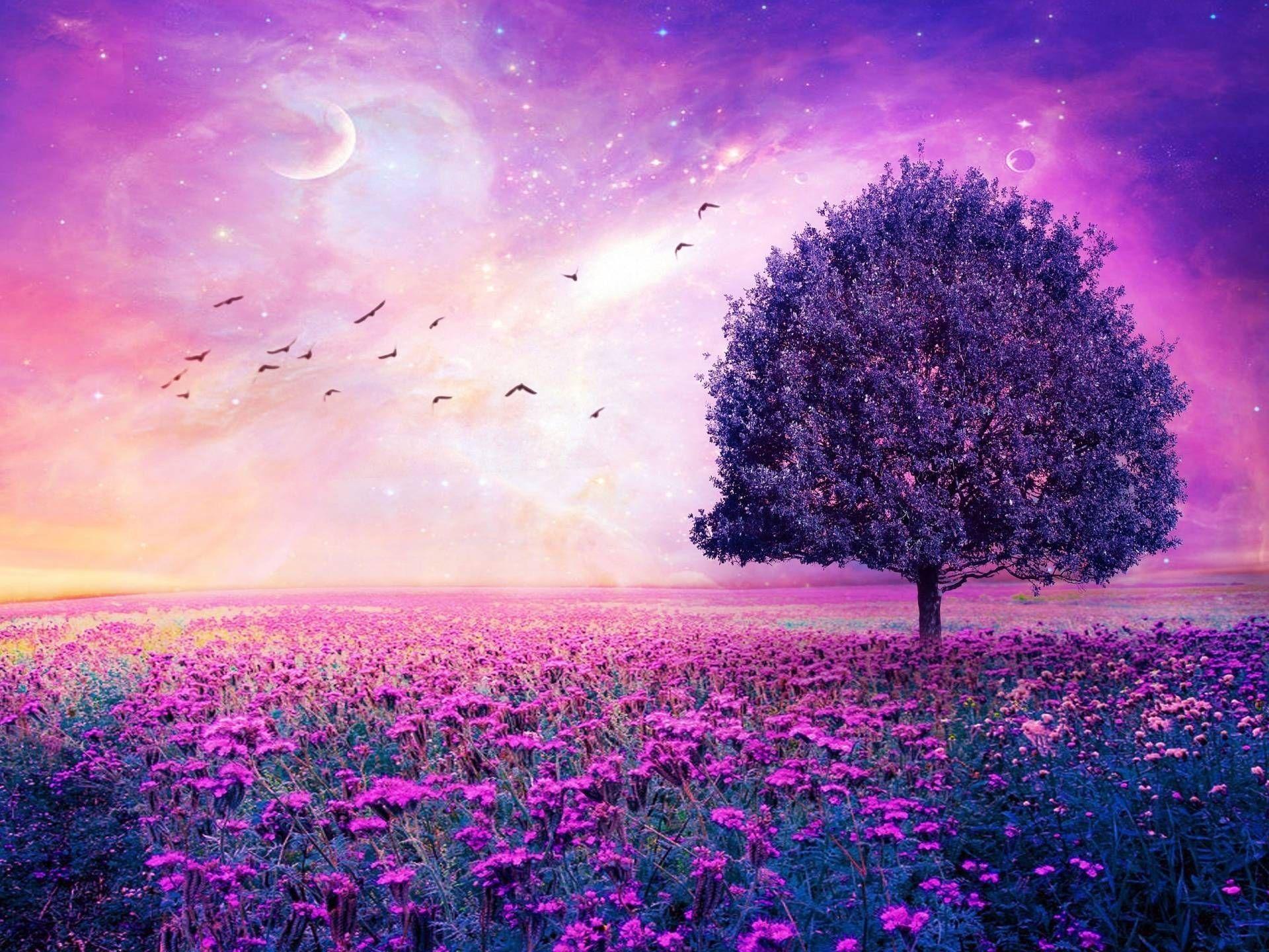 Natural Purple Aesthetic Wallpapers ...