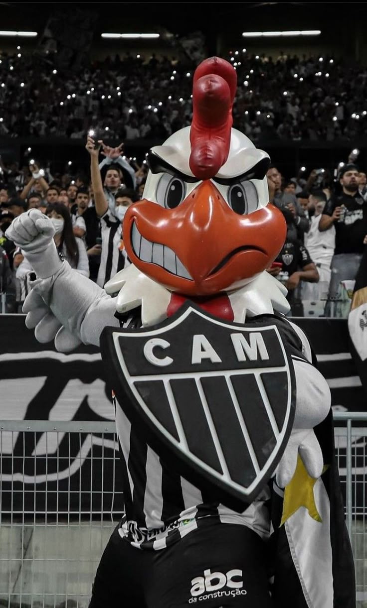 736x1221 Wallpaper Galo Doido