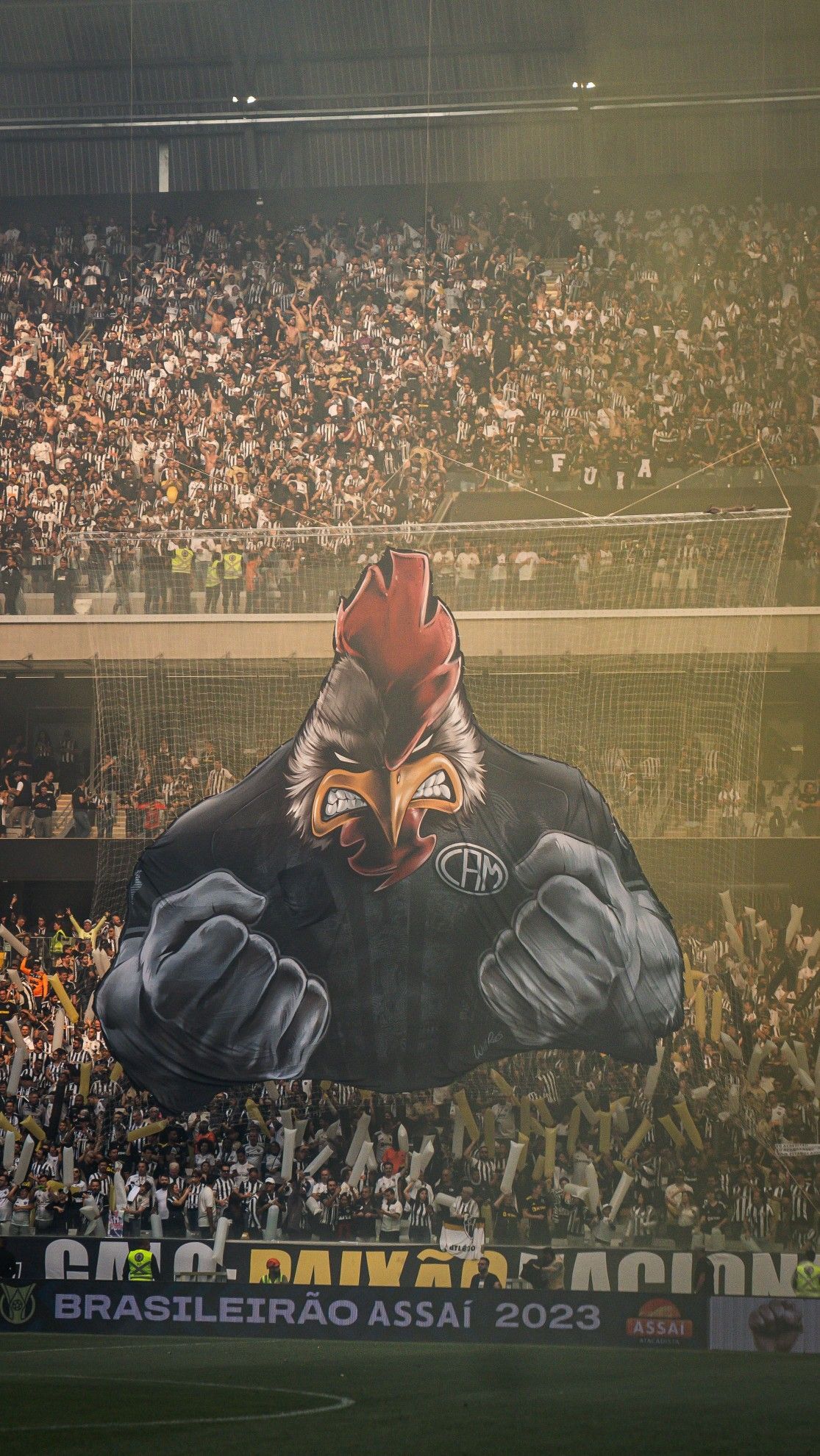 1115x1981 Descubra 59 ideias de wallpaper do galo e galoucura em 2026. clube atlético mineiro, atletico mg, galo atletico mg e muito mais