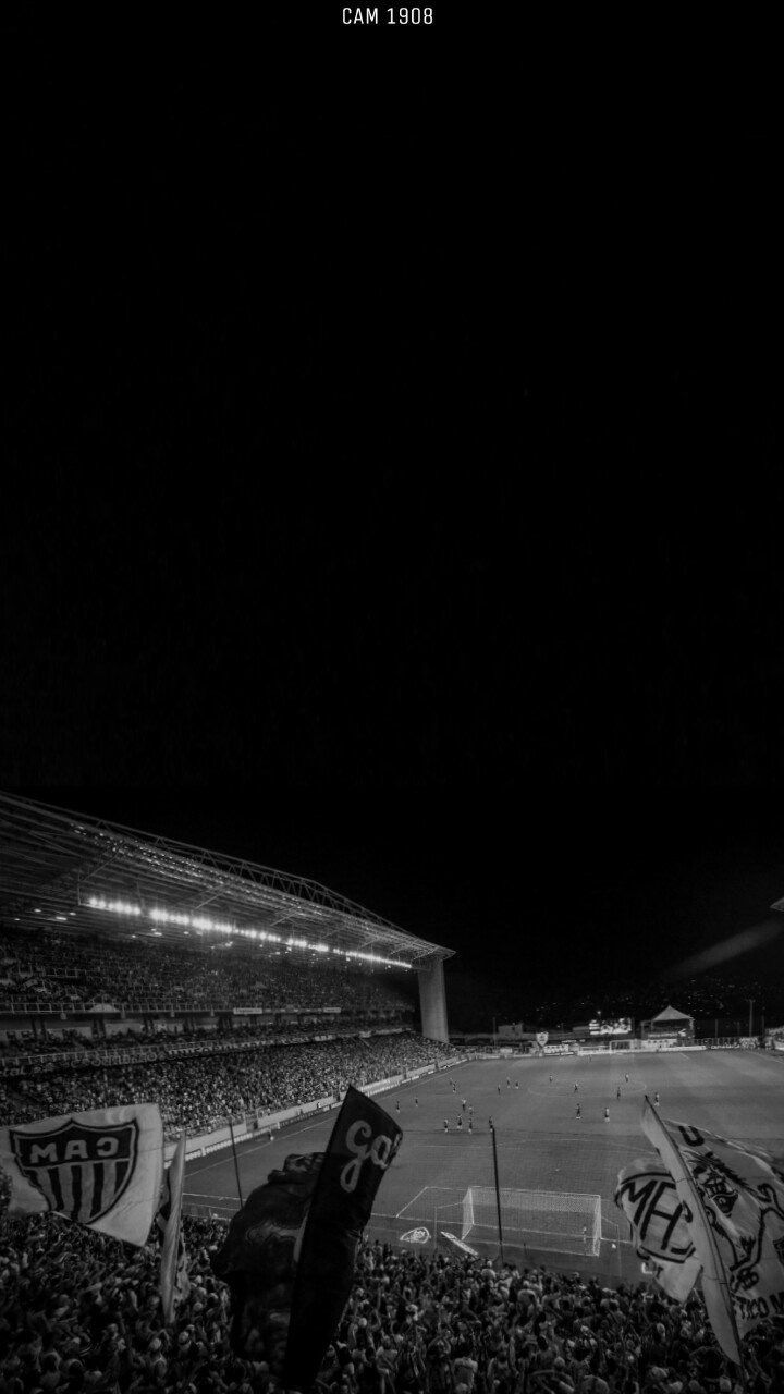 720x1280 Galo thymos. Wallpaper são paulo, Santos fc wallpaper, Galo atletico mg