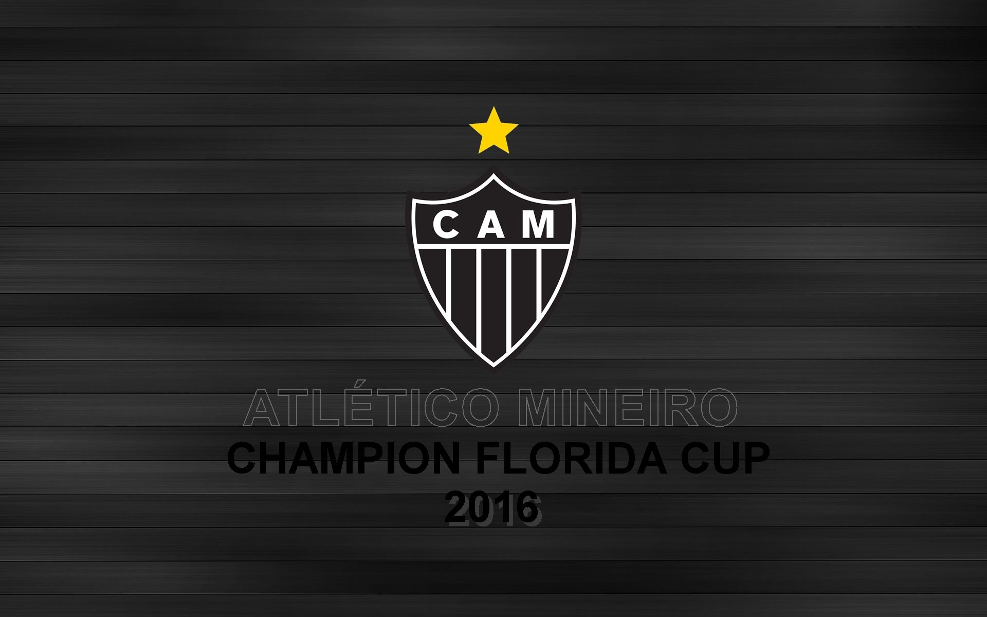 1920x1200 Wallpaper: baixe o papel de parede do Galo, campeão do Florida Cup 2016