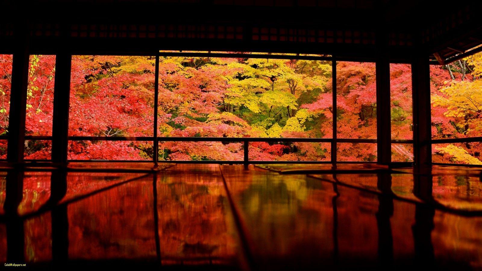1600x900 Spring In Japan 4k HD Desktop Wallpaper for 4k Ultra HD Tv Japan