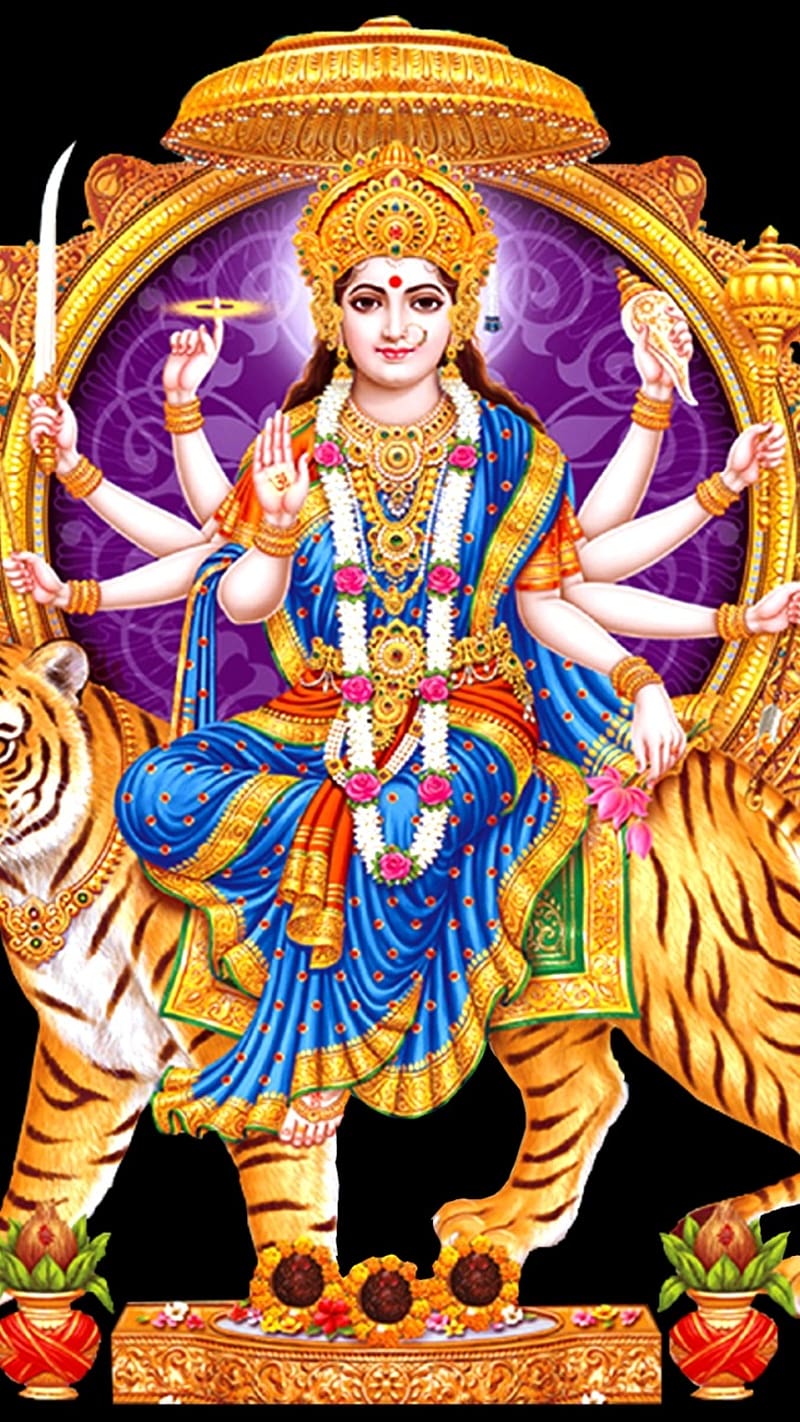 800x1422 Maa Durga Ki .Shakti Mataji, maa durga ki, durga, devi, lord, god, HD phone wallpaper