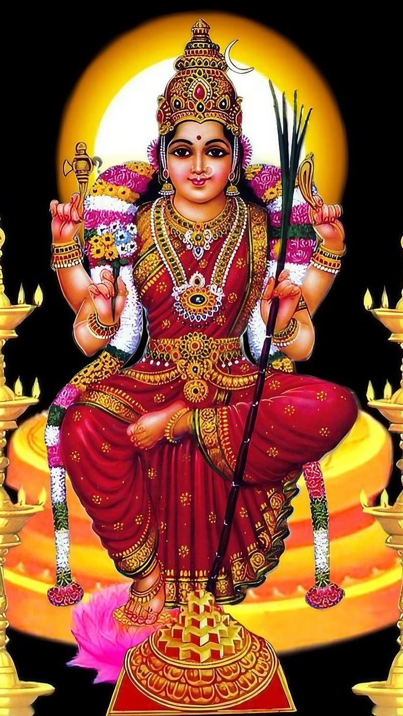800x1422 Kamatchi Amman, Sun Background, adi shakti, goddess, HD phone wallpaper