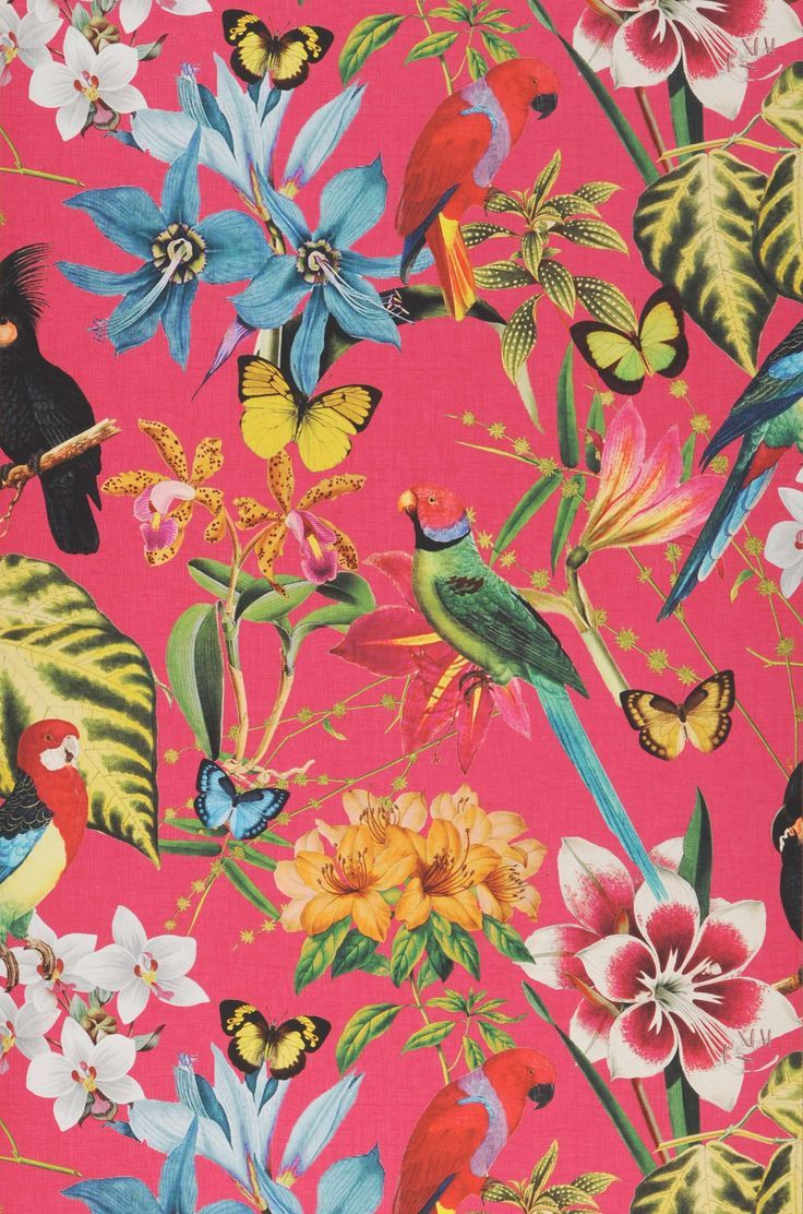 736x1112 Wallpaper Mambo pink