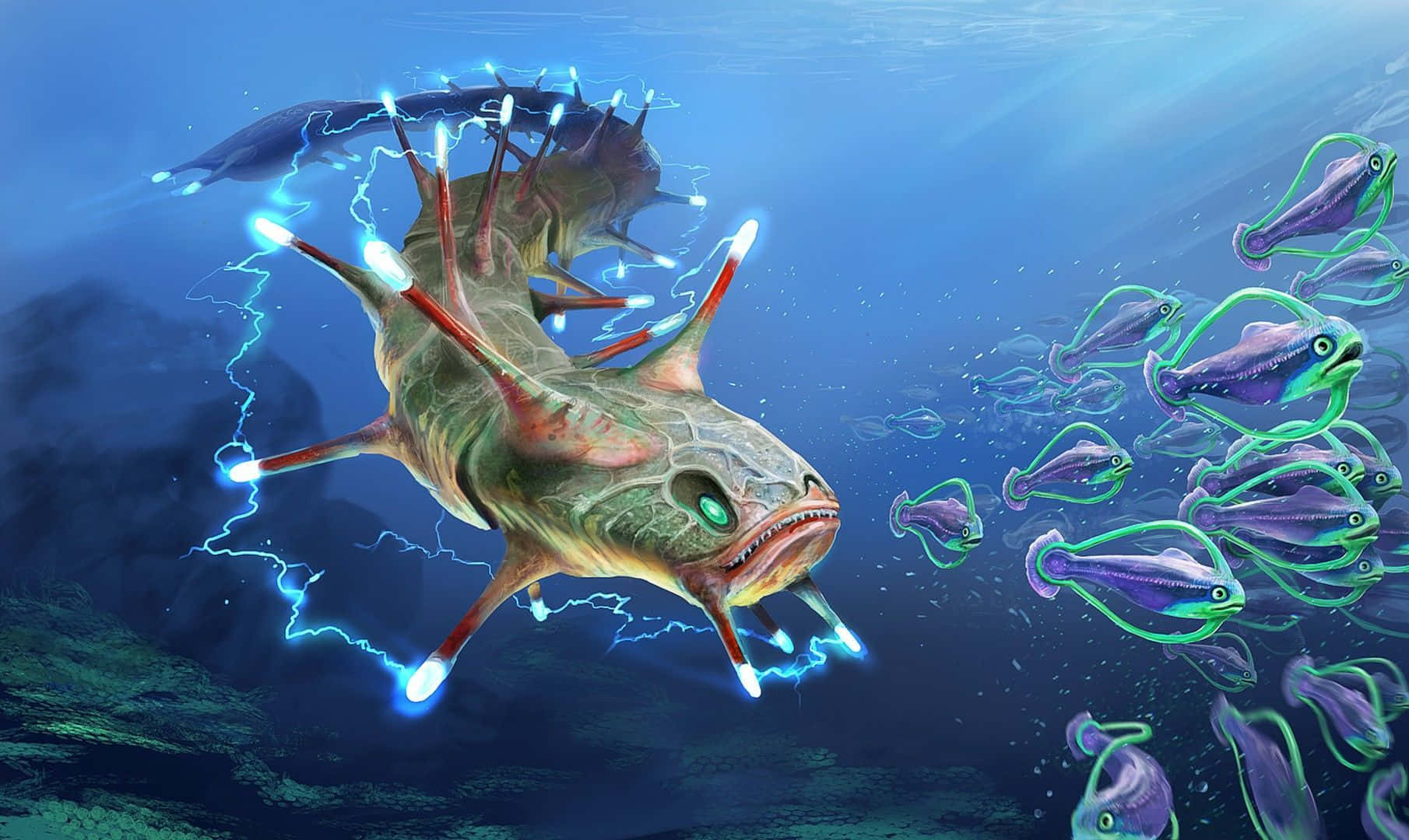 1810x1080 Electric Eels Wallpaper