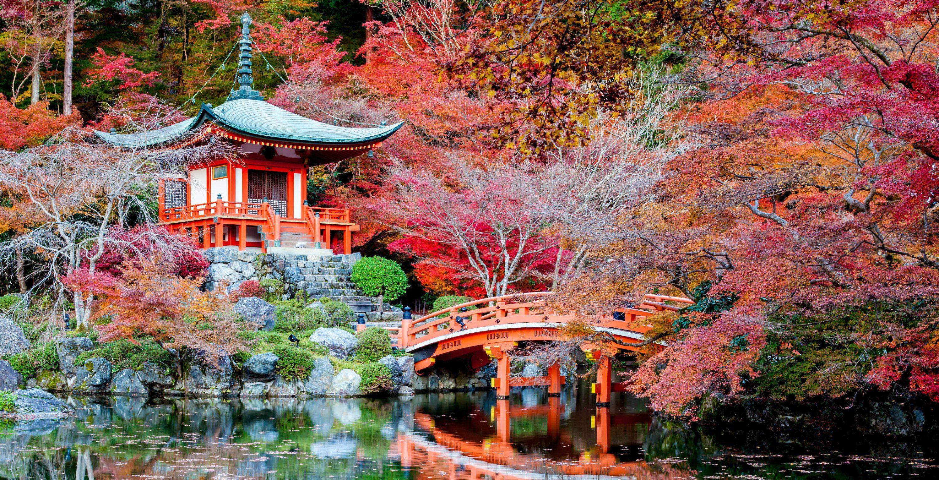 Best Japan Wallpapers - Top Free Best Japan Backgrounds - WallpaperAccess