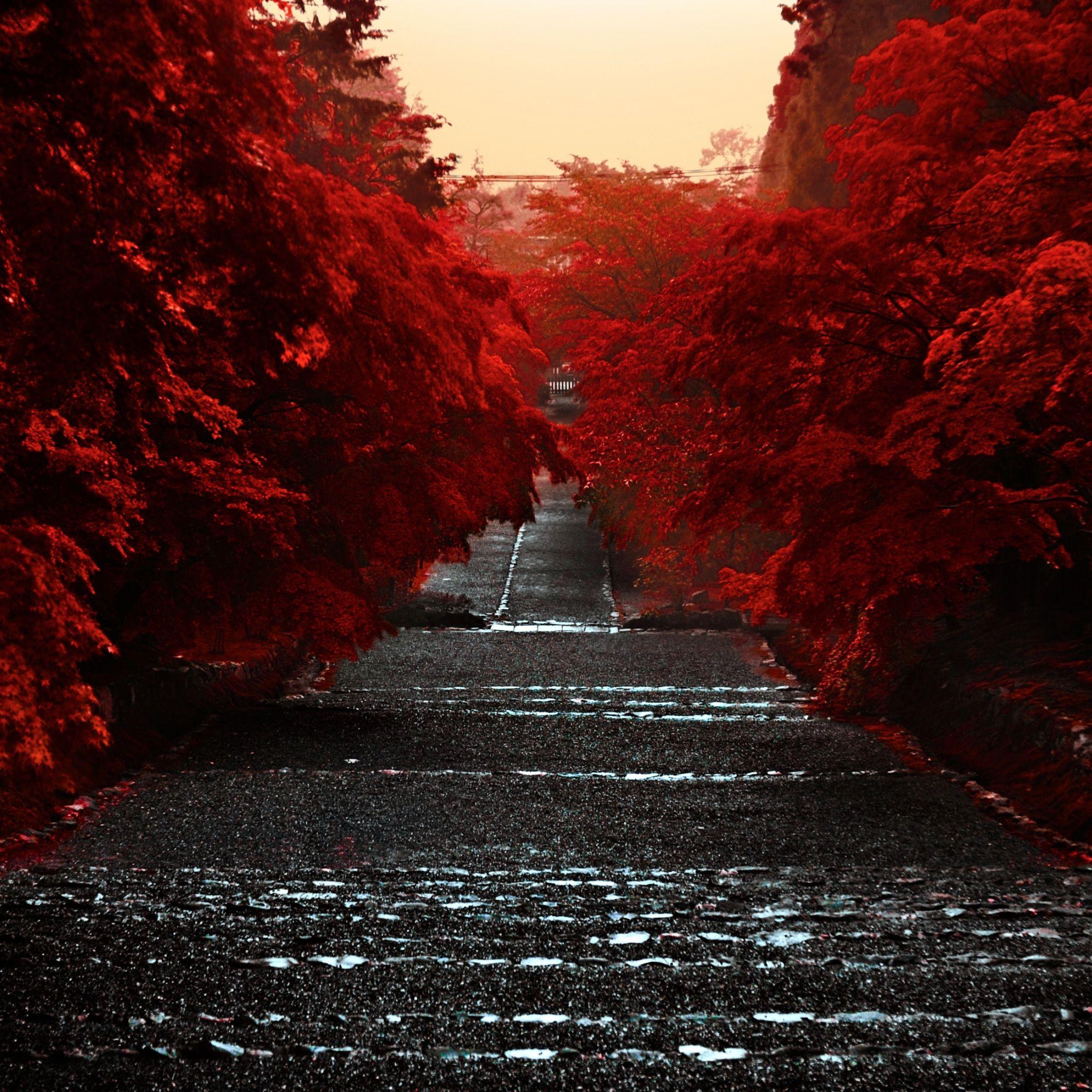 2048x2048 Japanese Wallpaper, HD Desktop Photo