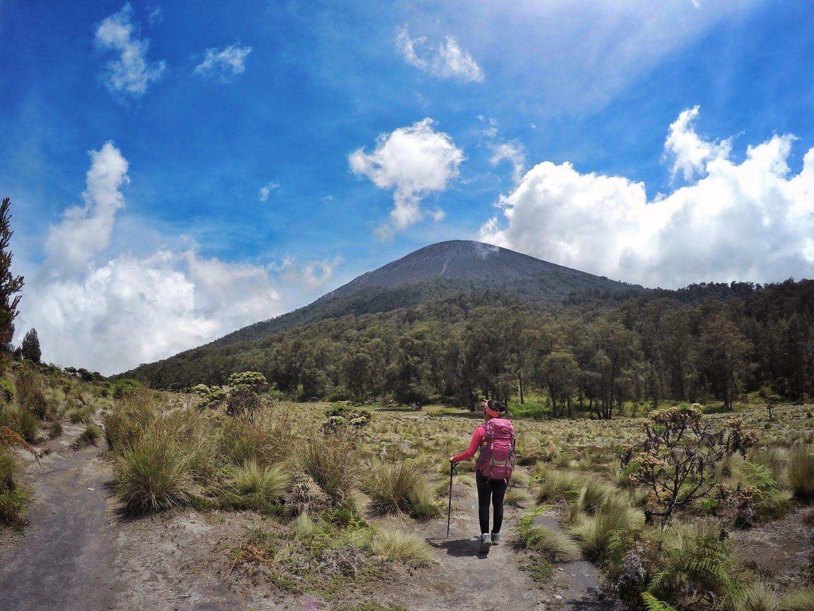 1600x1200 Essential Tips Before Mount Semeru Trekking. Authentic Indonesia Blog