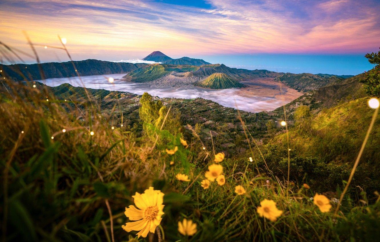 1332x850 Wallpaper Grass, Clouds, Landscape, Flowers, Nature, Island, Valley, Indonesia, Volcanoes, Bokeh, National Park, Bromo, Java, Bromo TenGer Semeru Image For Desktop, Section пейзажи