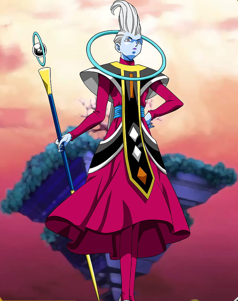 800x1009 Dragon ball super, anime, goku, whis, silverb, movie, beerus, vegeta, HD phone wallpaper