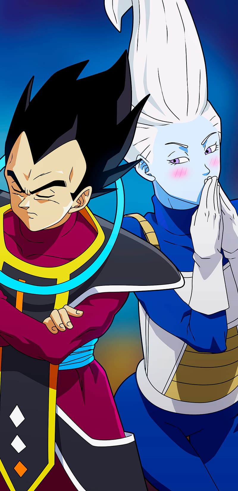 800x1644 Anime, Dragon Ball, Vegeta (Dragon Ball), Dragon Ball Super, Whis (Dragon Ball), HD phone wallpaper