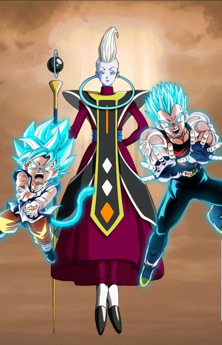 713x1106 What if Whis trained Goku and Vegeta for one year? How strong would they get?