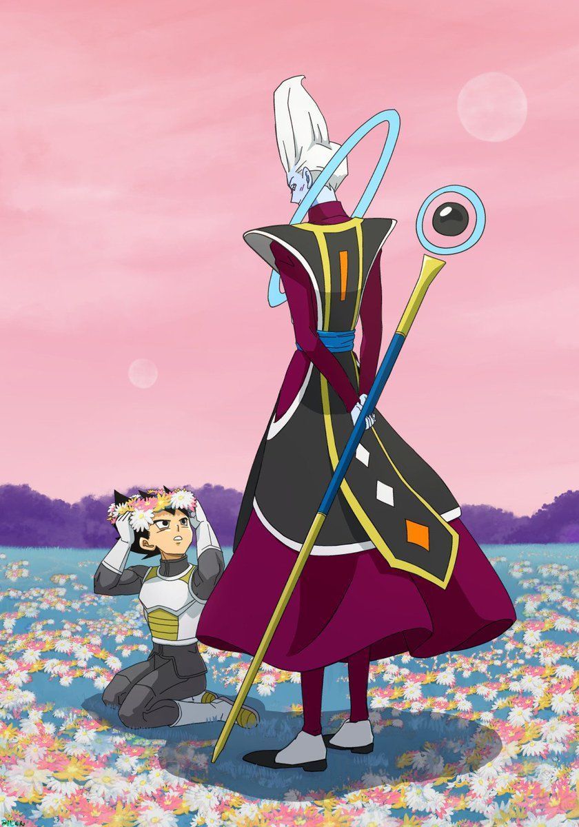 840x1200 Dragon Ball Super Whis Android Wallpaper