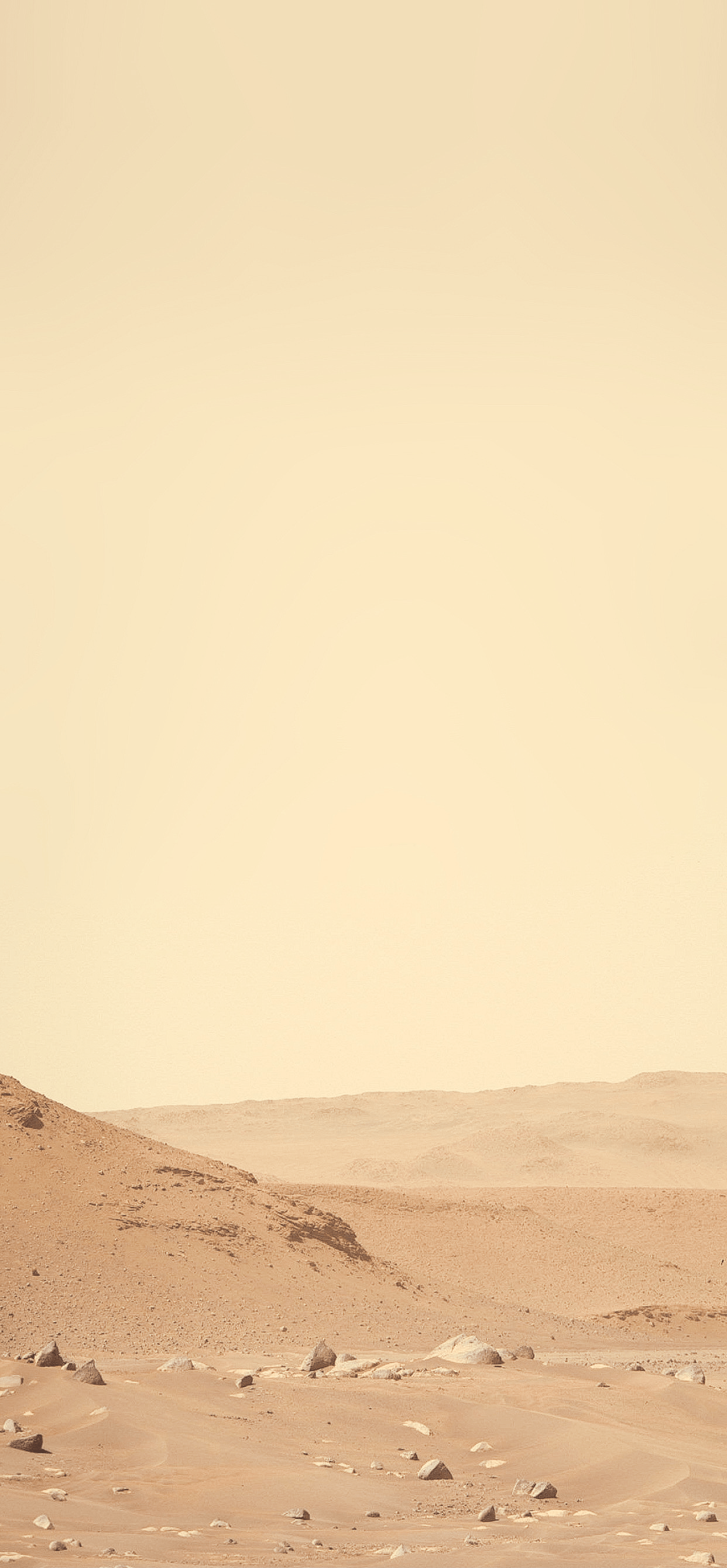 1242x2679 Mars Perseverance wallpaper for iPhone