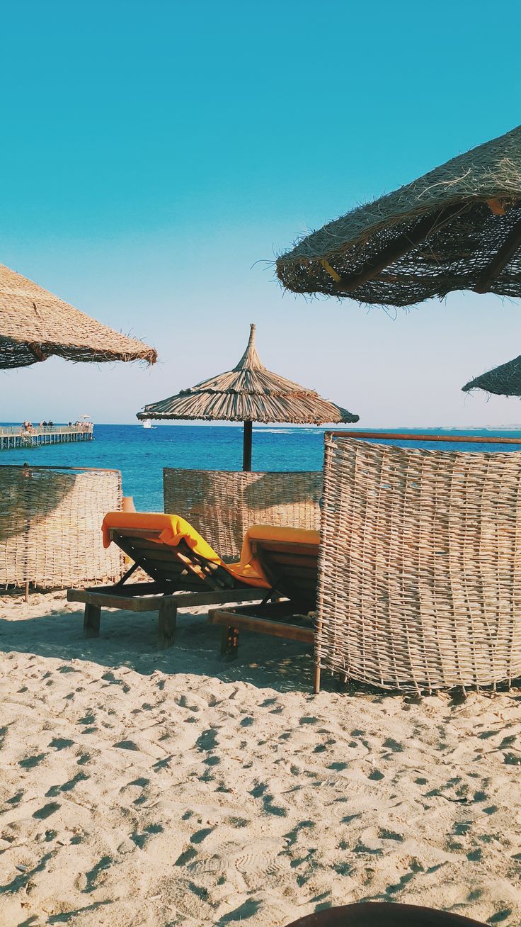 736x1308 At the beach. Marsa Alam, Red Sea, Egypt