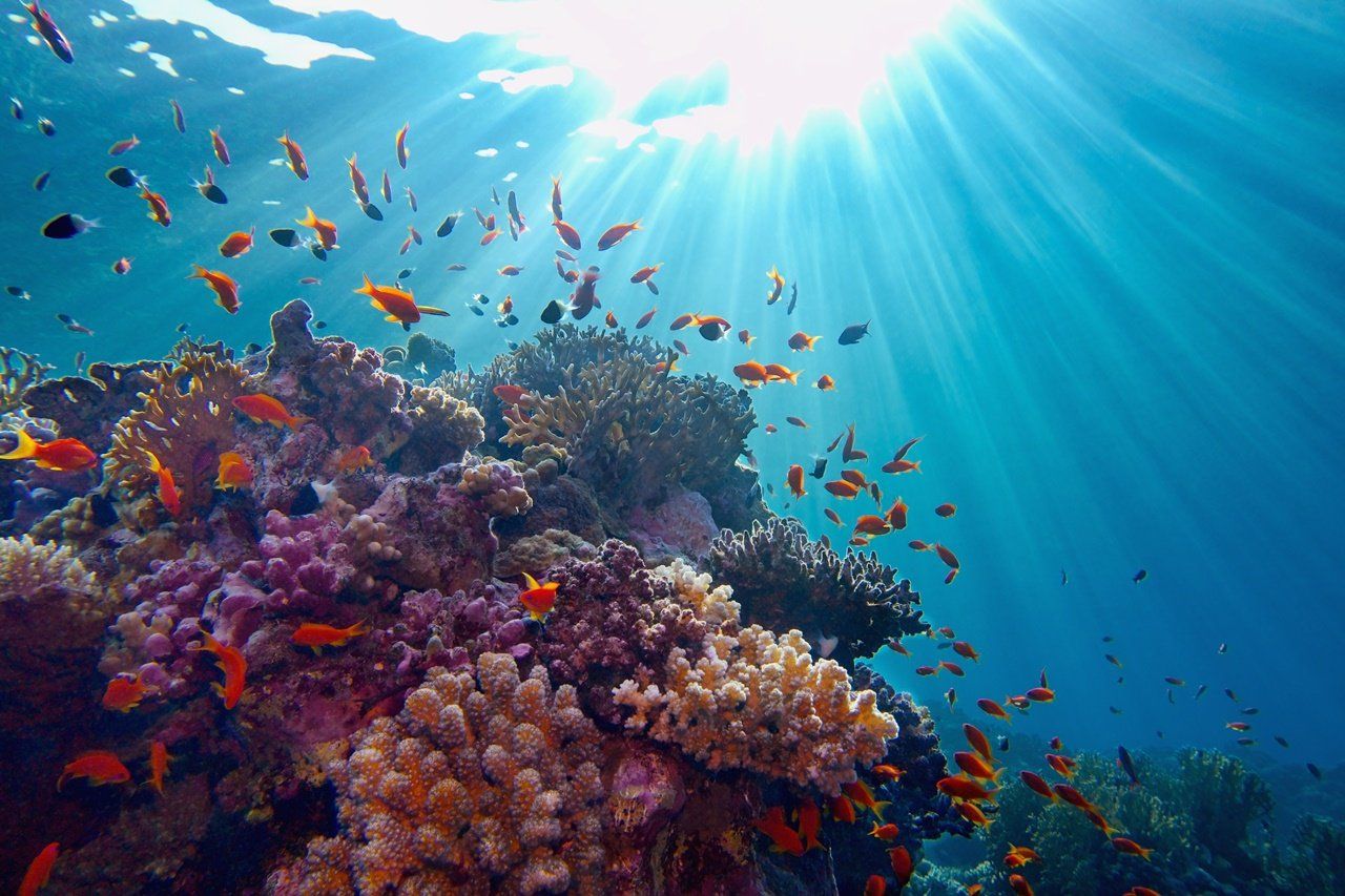 1280x853 Egypt Marsa Alam and facultative excursions