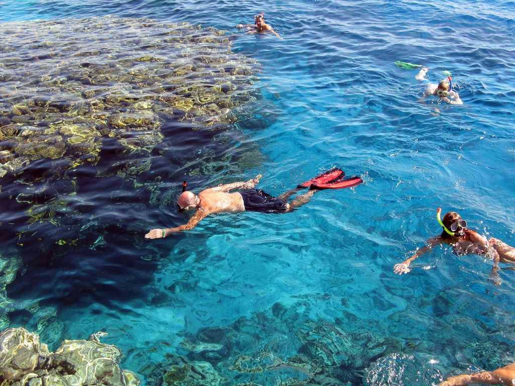 1024x768 Overnight snorkeling trip at Satayah dolphin reef from Marsa Alam Tour Package